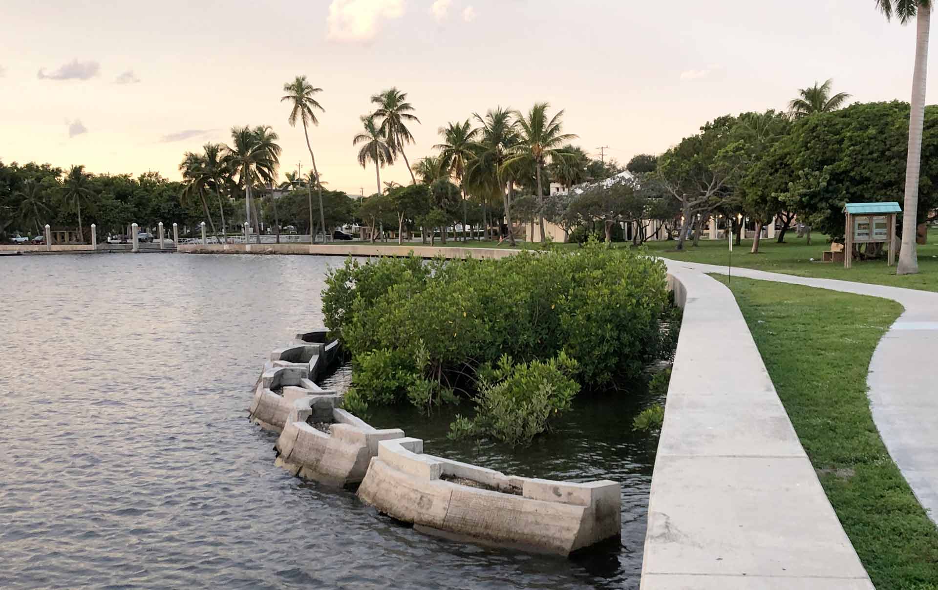 Mangrove_Planter_Singer_Studio_ERM_21w
