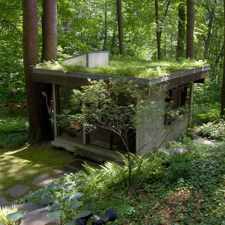 Singer_Studio_Conway_Sculpted_Garden_DSC3374_Mobile_Web