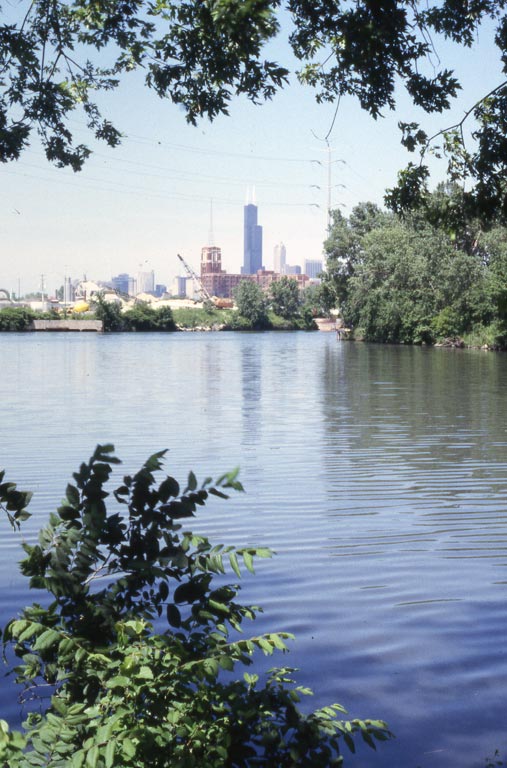 Michael_Singer_Chicago_Canal_Origin_6.jpg