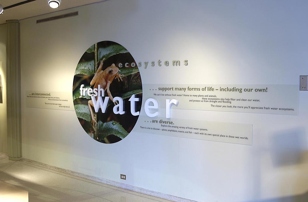 Michael_Singer_Ecotarium_16.jpg