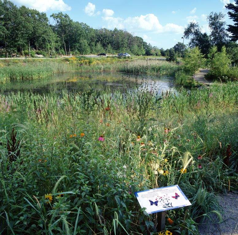 Michael_Singer_Ecotarium_44.jpg