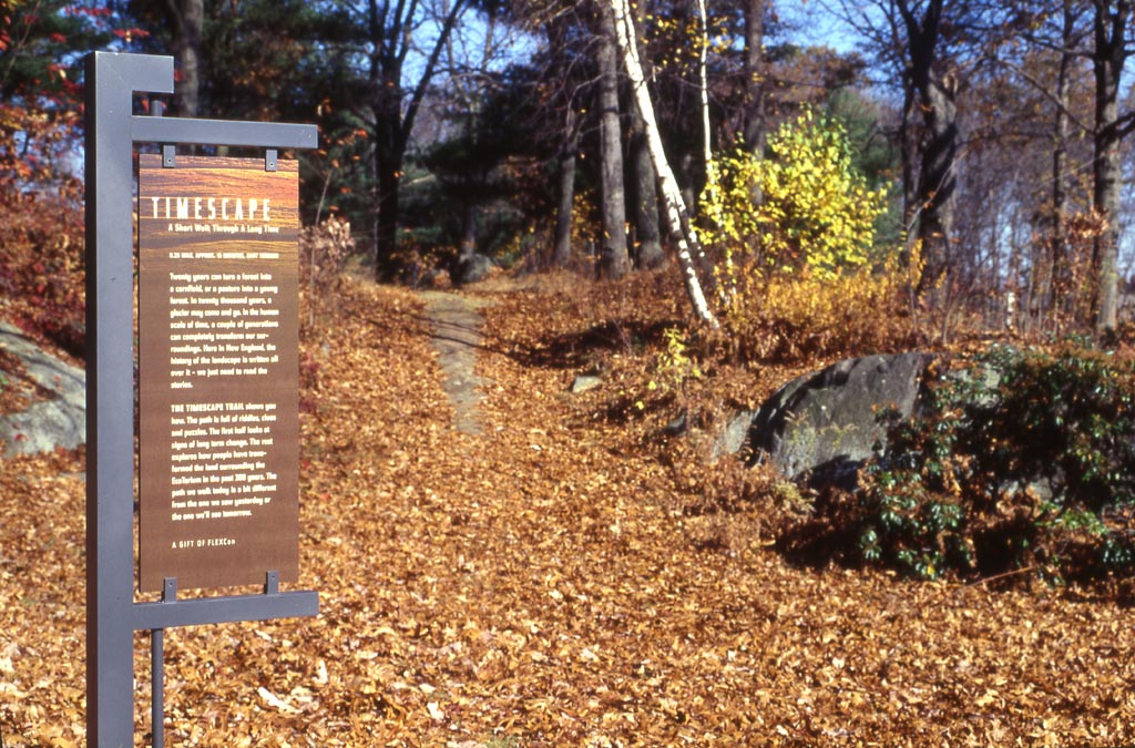 Michael_Singer_Ecotarium_51.jpg