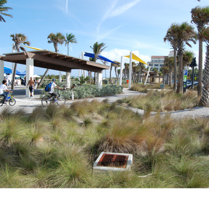 Michael_Singer_Lake_Worth_Beach_2015_16