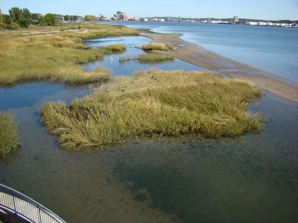 Michael_Singer_More_New-Haven_5thumb.jpg