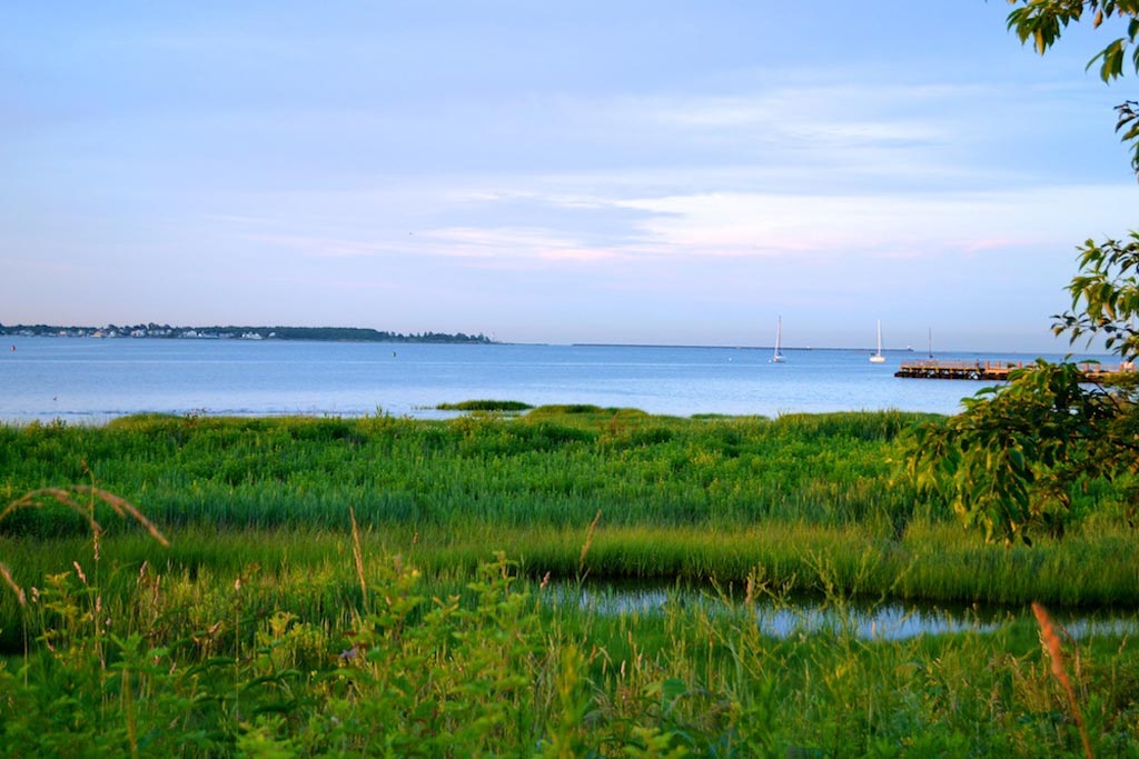 Michael_Singer_More_New-Haven_7.jpg