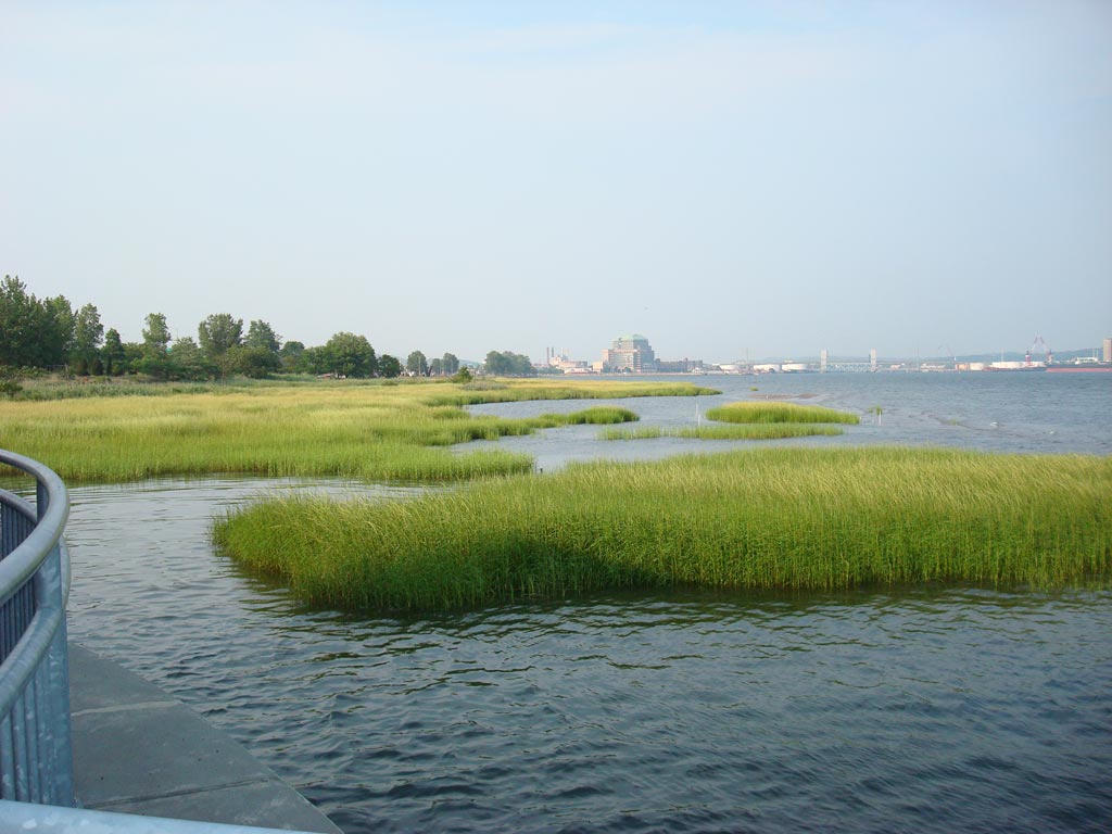 Michael_Singer_New_Haven_2.jpg